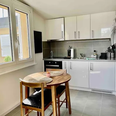 Cosy Attic Flat Center Лозанна