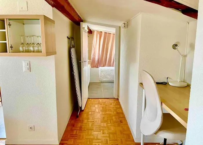 Cosy Attic Flat Center * Losanna