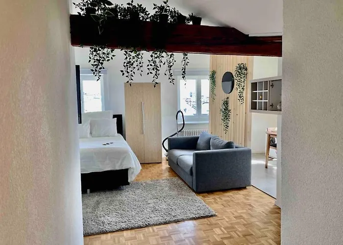 Cosy Attic Flat Center Appartement