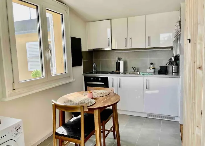 Cosy Attic Flat Center Lausanne