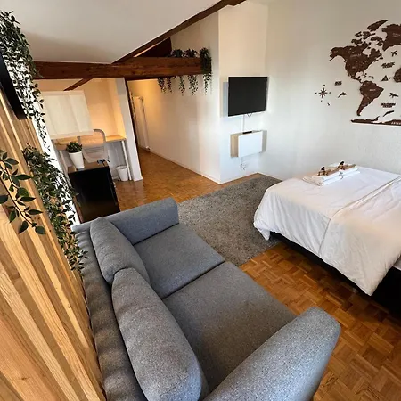 Cosy Attic Flat Center 公寓 *